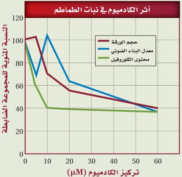 رسم بياني